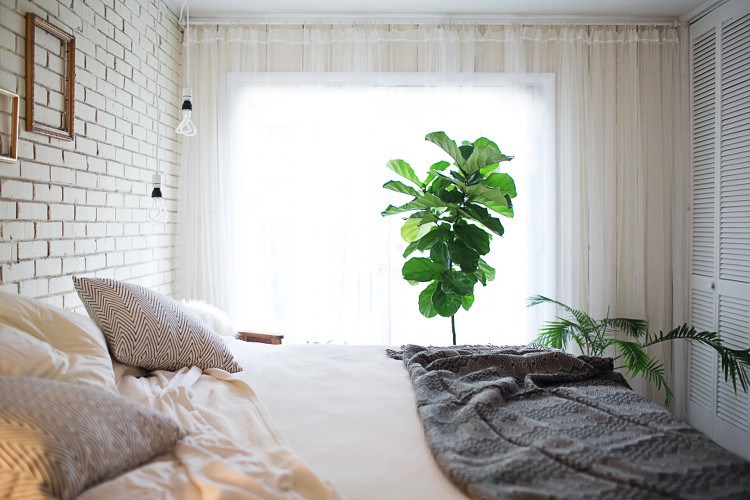 Bedroom-Ideas-Decorating-with-Plants.jpg