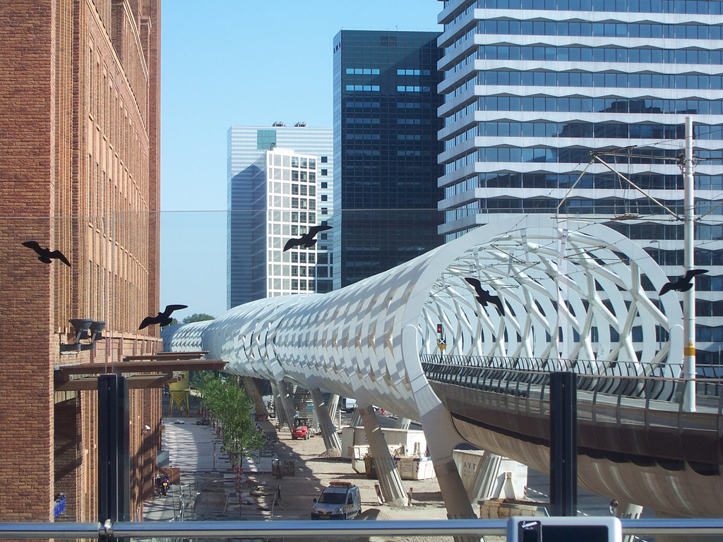 RandstadRail_Den_Haag_netkous.jpg