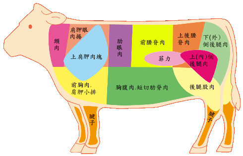 牛肉分解图1.gif