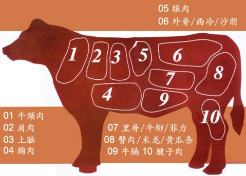 牛肉分解图2.jpg