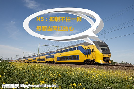 NS-Train-by-NS.jpg
