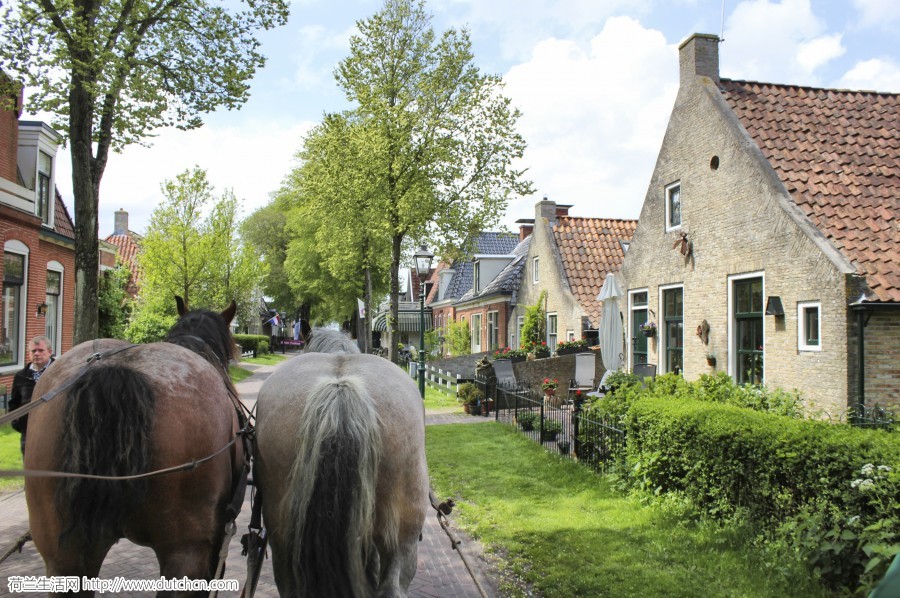 Paseando-en-carro-de-caballos-por-el-pueblo-de-la-isla-de-Schiermonnikoog-900x598.jpg