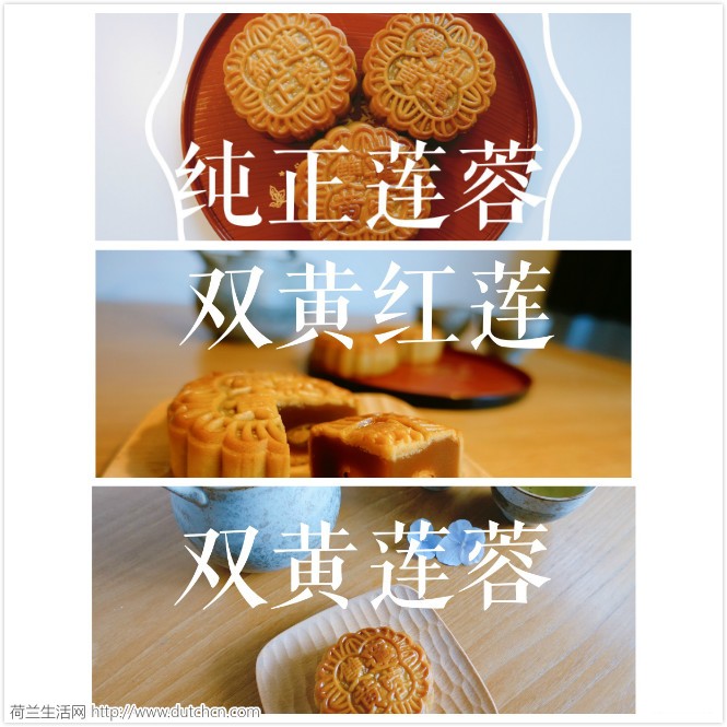 WeChat Image_20170927162222_meitu_1.jpg