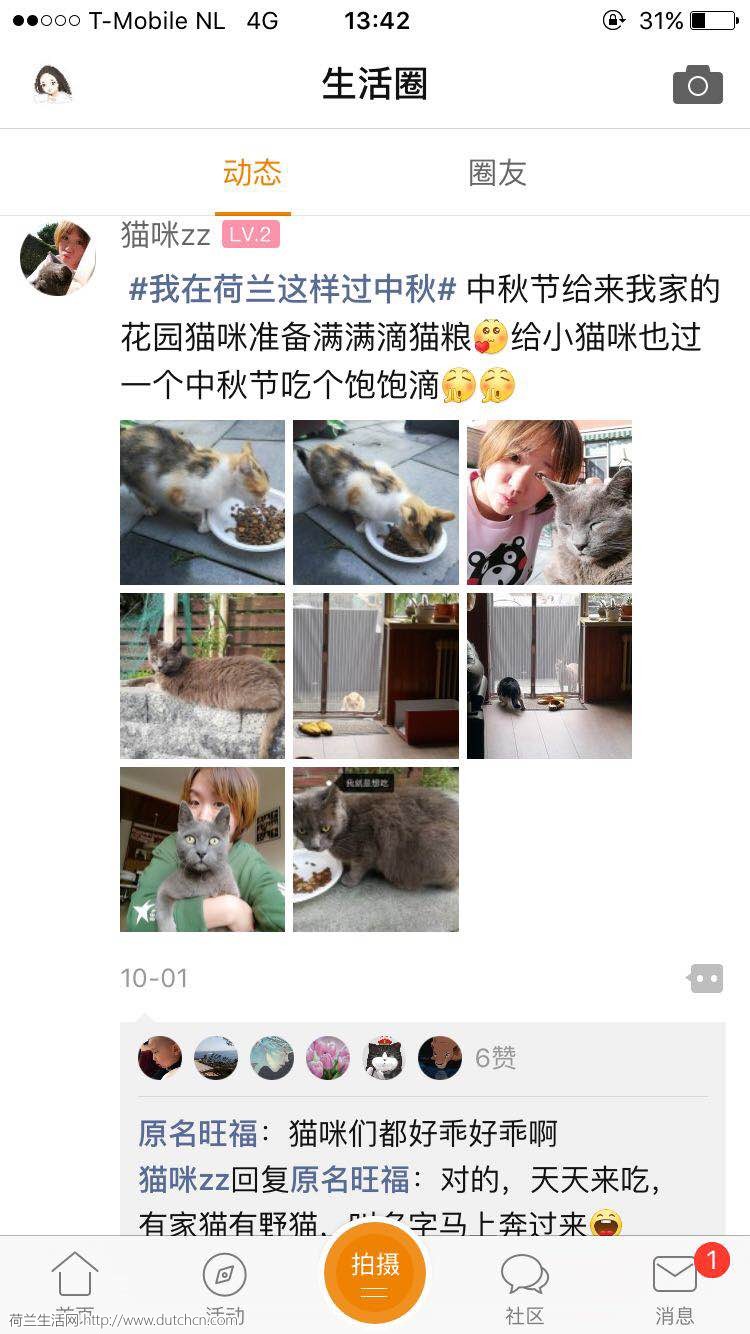 WeChat Image_20171003141603.jpg