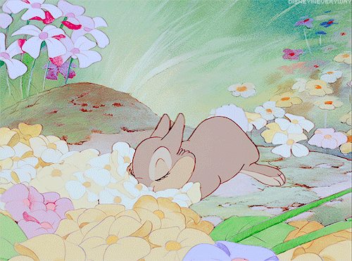 174959-Cute-Bunny-In-Spring-Flowers.gif