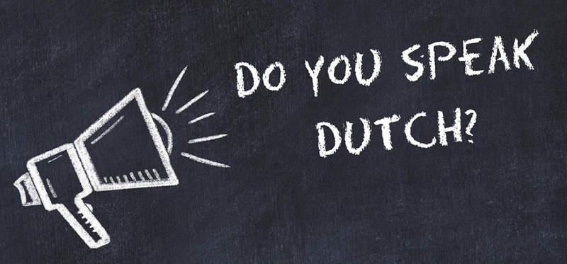 暑期荷兰语课程：网络课和实体课