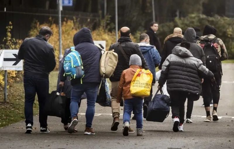 已有4300名乌克兰难民在荷兰找到工作，主要从事这几个行业