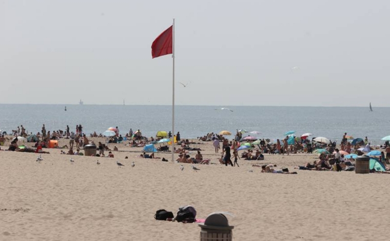 注意！荷兰海边有15人被救，升起红旗警告，海滩一度关闭