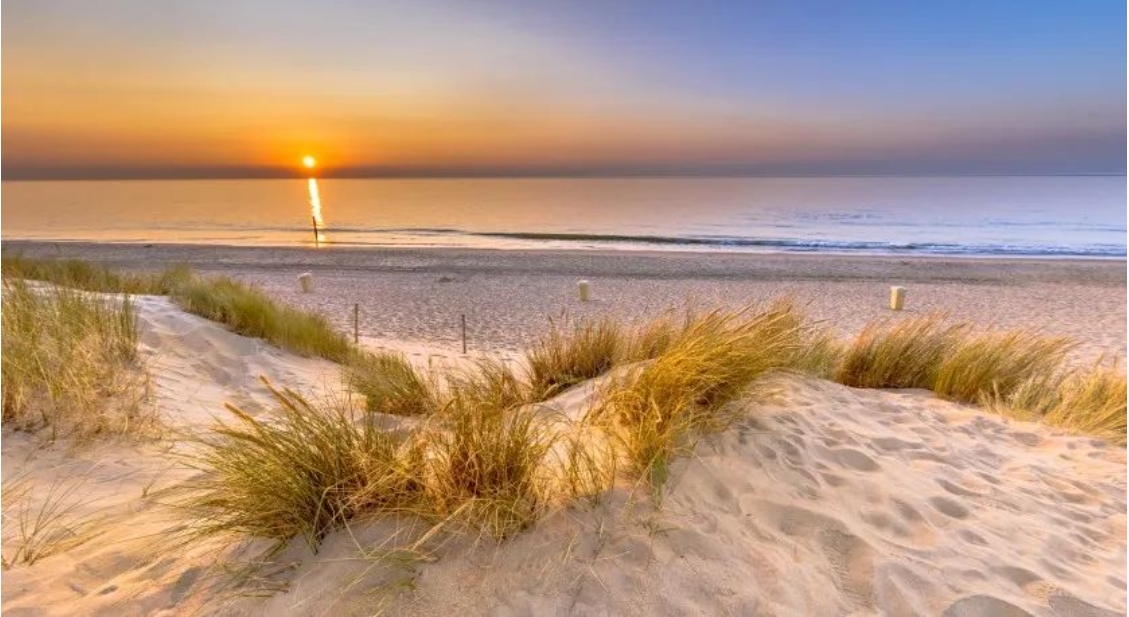 出去浪~荷兰评出年度最干净海滩，这两个海滩还获得蓝旗海滩的国际奖项