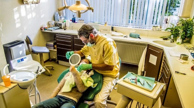 荷兰上百家牙科诊所莫名遭遇网络攻击，专家表示可能是勒索