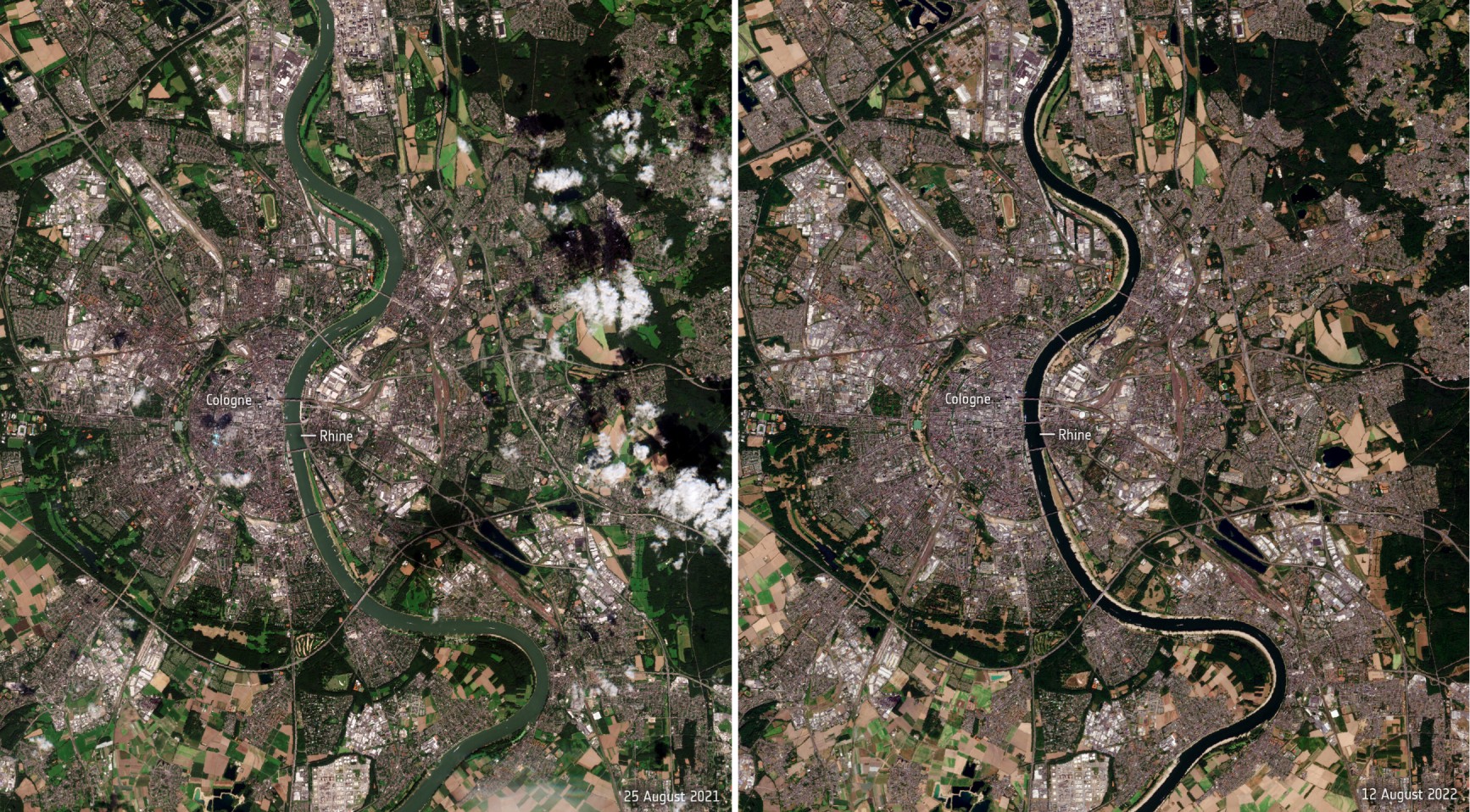 Rhine river comparison Cologne.jpg