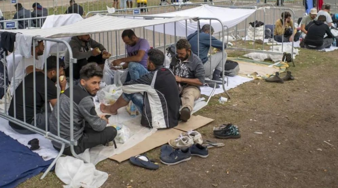 荷兰政府“下狠手”，每接受一名庇护者奖励2500欧元，以缓解庇护危机