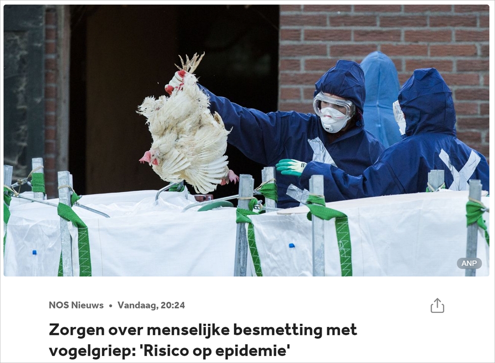 9岁女孩禽流感后重症入院！荷兰病毒学家呼吁提高警惕，不排除出现人传人