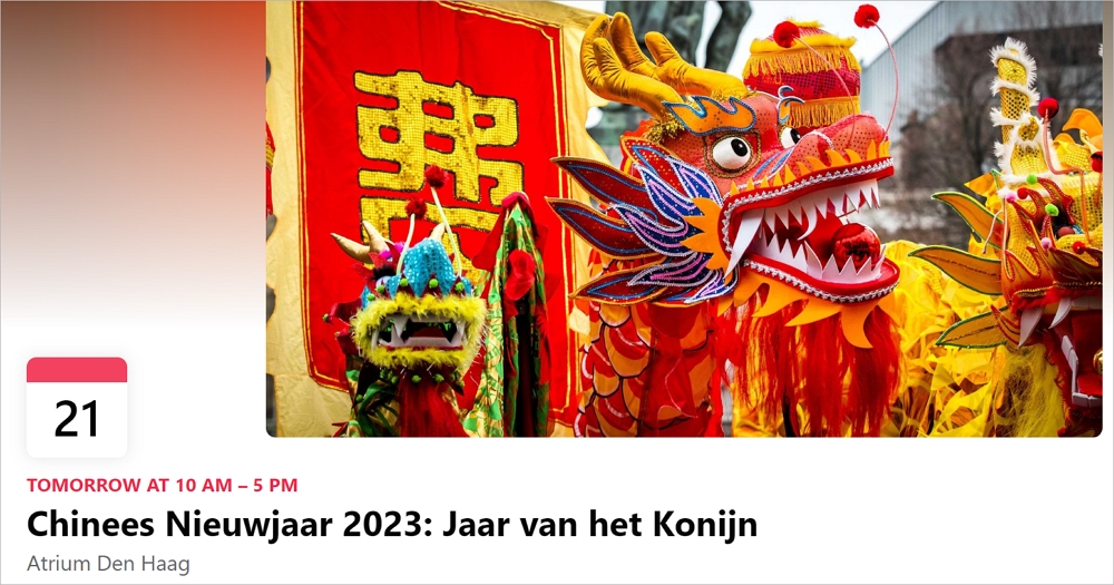 中国春节期间荷兰有什么庆祝活动？持续到这个月底，进来看！