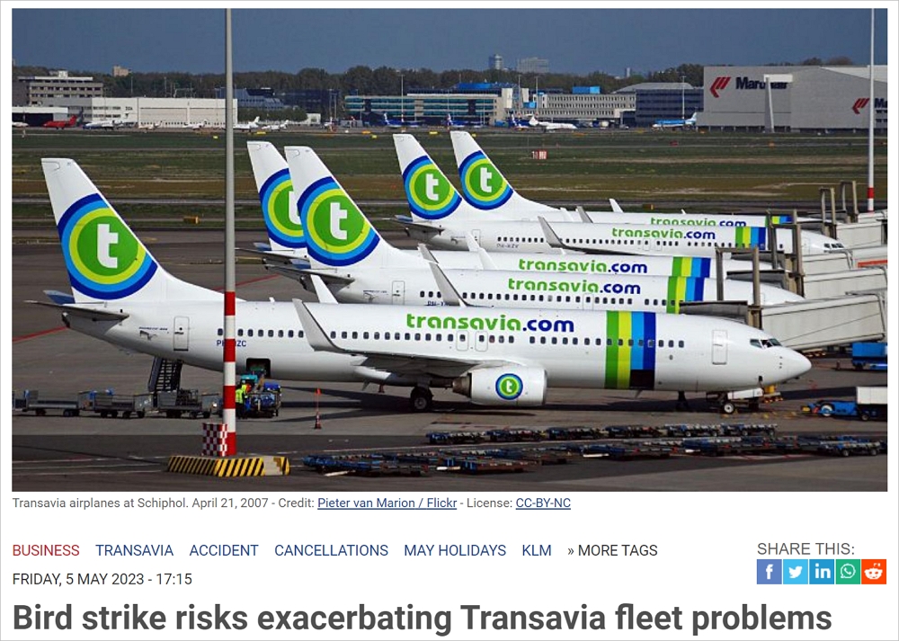突发！从荷兰出发航班遭到鸟类撞击，运力危机加剧，42个往返南欧航班被取消
