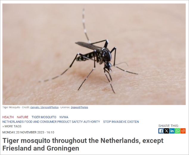 警告！亚洲虎蚊已经在荷兰"立足"？能传播登革热和寨卡病毒