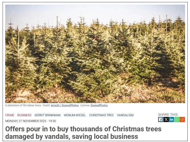 暖心！6千多棵遭恶意毁坏的圣诞树被荷兰居民争相抢购…