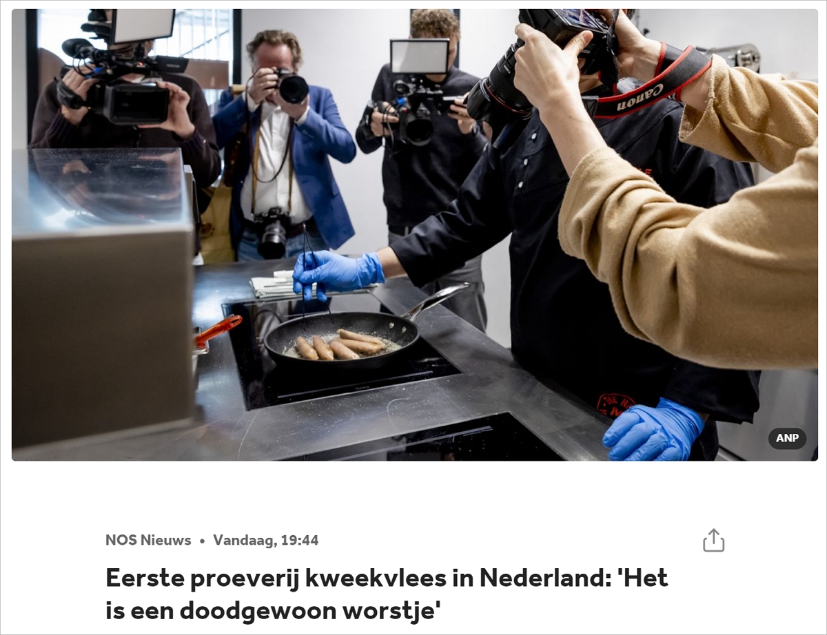 人造肉来了！荷兰首度公开品尝，香不香？口感怎样？