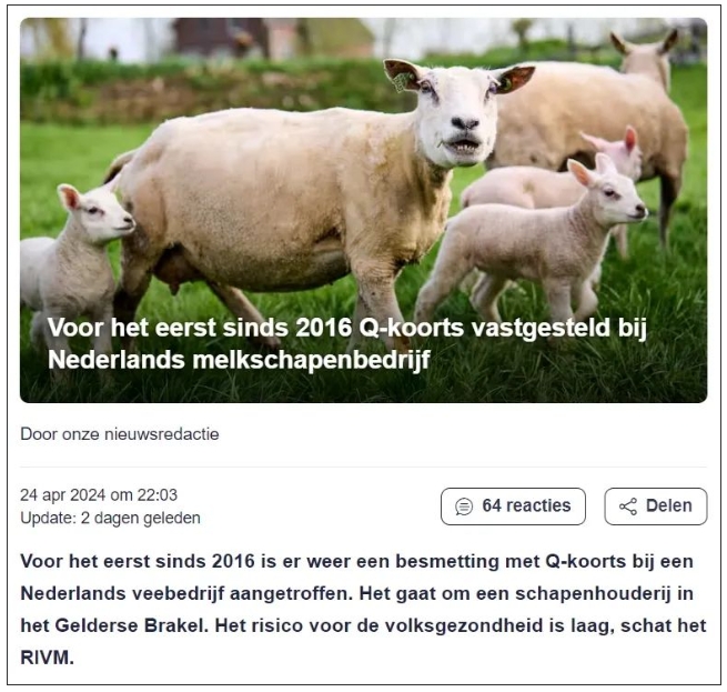 荷兰养羊场发现Q热病例，可传染给人类，曾造成四千多人感染