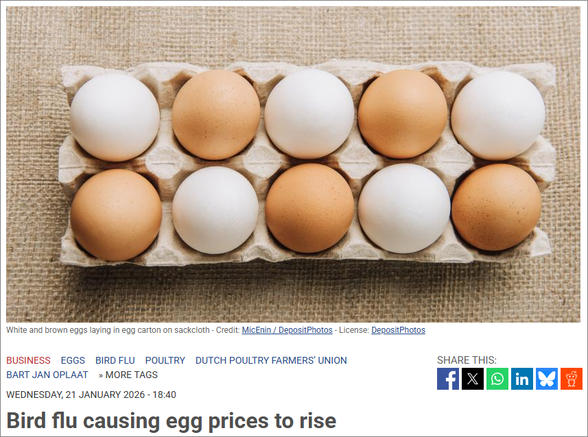 2026-01-23 14 42 24.png