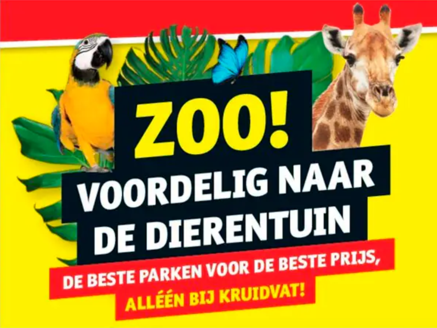 2026-02-09 11 26 55.png