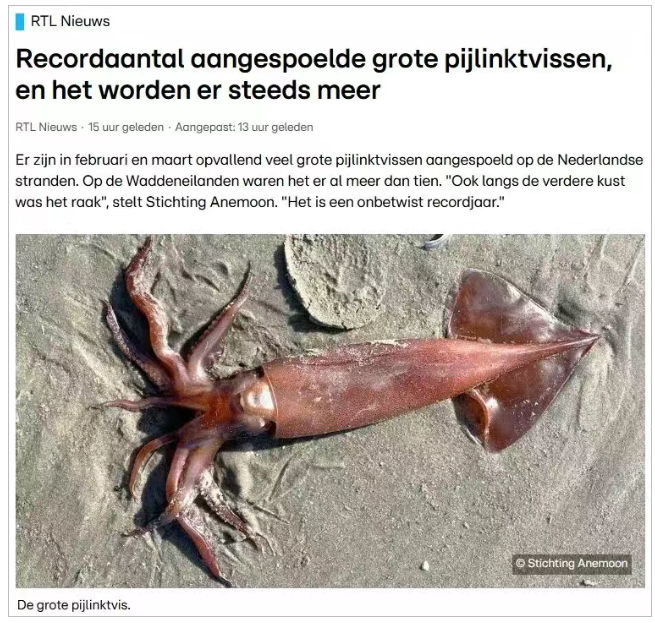 2026-03-22 16 40 10.png