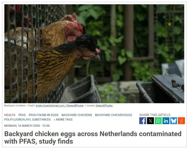 2026-03-22 16 47 05.png