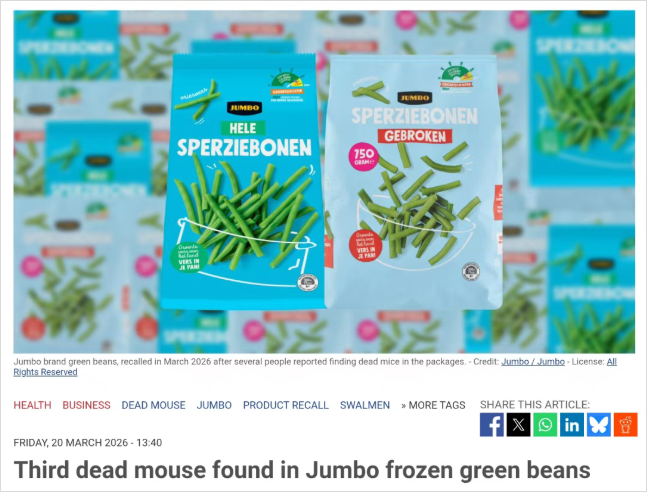 2026-03-22 16 50 26.png