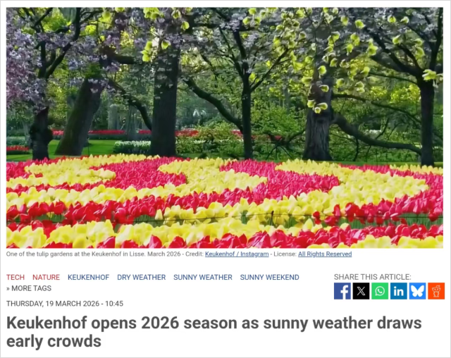 2026-03-22 16 53 37.png