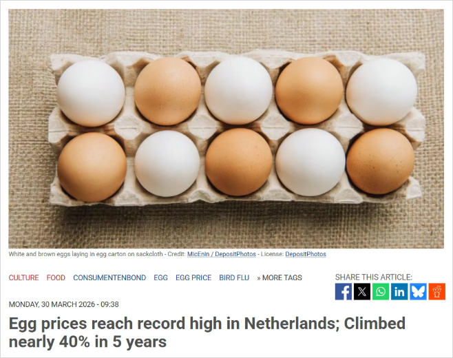 离谱！荷兰鸡蛋价格创历史新高，哪个超市买比较划算？
