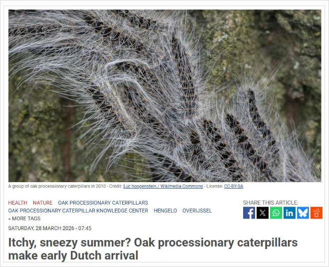 一不小心就中招！荷兰“毒毛虫”提前杀到，分分钟让你全身难受