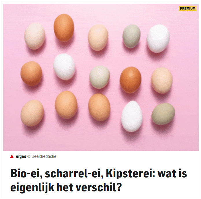 2026-04-06 10 38 51.png