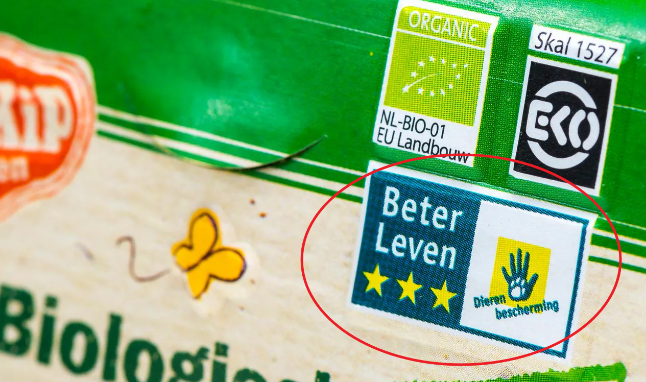 在荷兰怎么买鸡蛋？一串编号和星星是什么意思？进来看