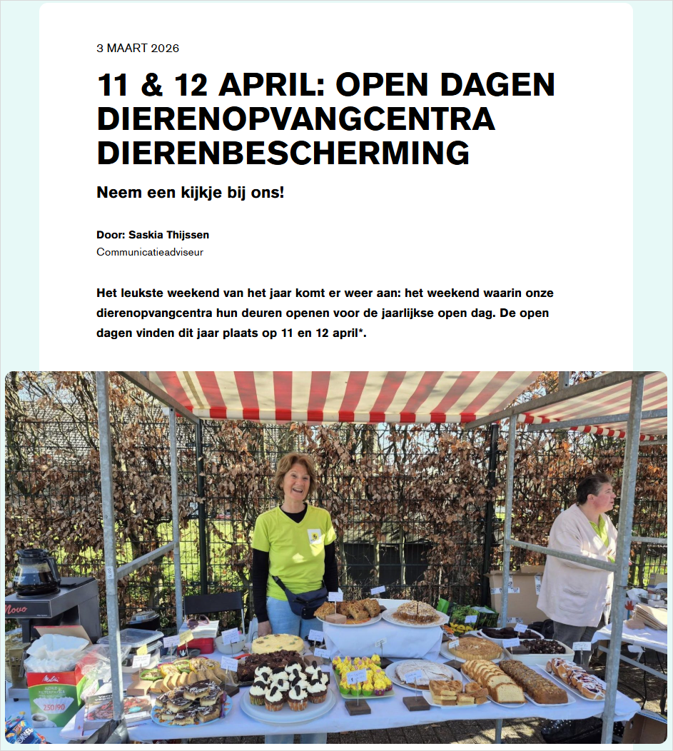 全荷兰动物收容所本周末对外开放，想领养宠物？可以去看看