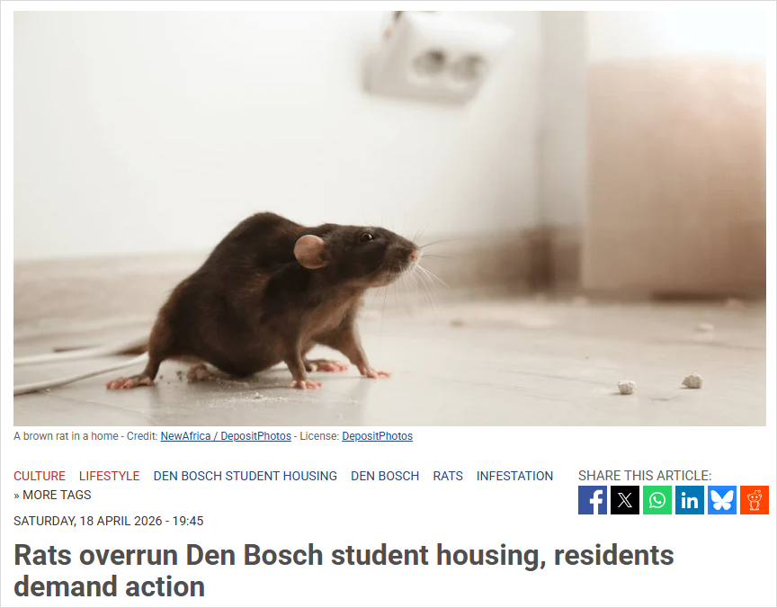 2026-04-20 23 51 27.png