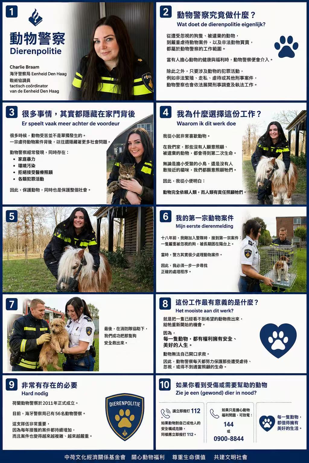 每一个生命，都值得被尊重